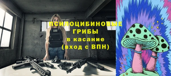 прущая мука Абаза