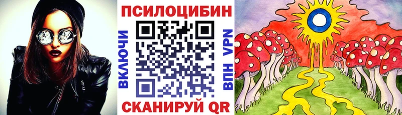 Галлюциногенные грибы Cubensis ОМГ ОМГ tor Алатырь где купить наркоту